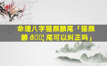 命理八字猫麒麟尾「猫麒麟 🐦 尾可以纠正吗」